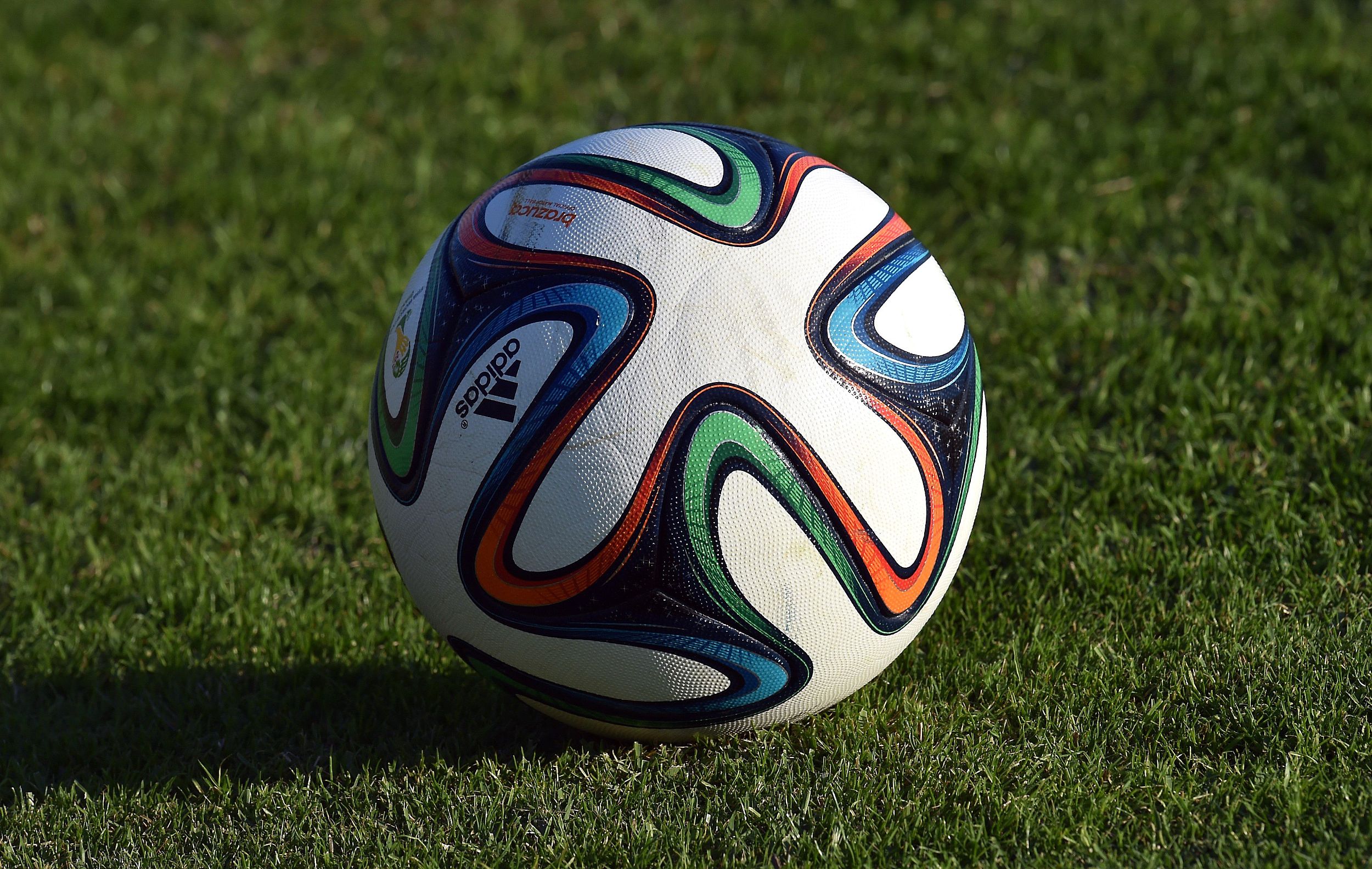 仁棣电子 公司介绍 2024 rev2_11.jpg